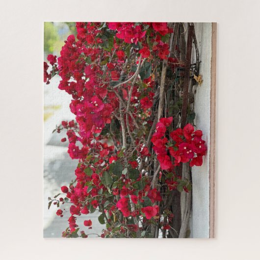 Rote Bougainvillea, Burlingame Puzzle (Vertikal)