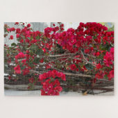 Rote Bougainvillea, Burlingame Puzzle (Horizontal)
