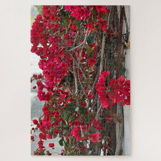 Rote Bougainvillea, Burlingame Puzzle (Vertikal)