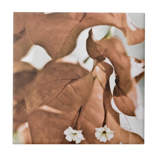 Rote Bougainvillea Fliese (Vorderseite)