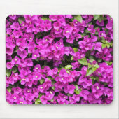 Rote Bougainvillea im Hintergrund Mousepad (Vorne)