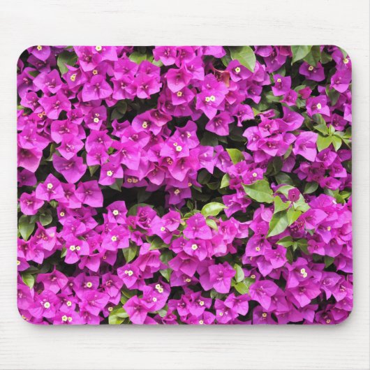 Rote Bougainvillea im Hintergrund Mousepad (Vorne)
