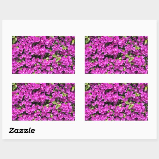 Rote Bougainvillea im Hintergrund Rechteckiger Aufkleber (Blatt)