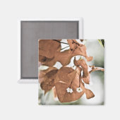Rote Bougainvillea Magnet (Vorderseite/Rückseite)