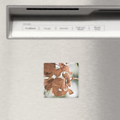 Rote Bougainvillea Magnet (In Situ (Geschirrspüler))
