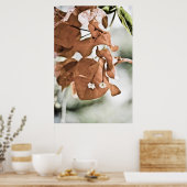 Rote Bougainvillea Poster (Küche)