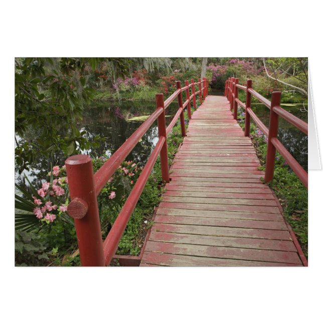 Rote Brücke über den Teich, Magnolia Plantation, (Vorderseite (Horizontal))