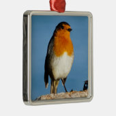 Rote Brust für Premium Square Ornament (Rechts)