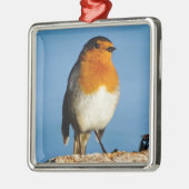 Rote Brust für Premium Square Ornament (Links)