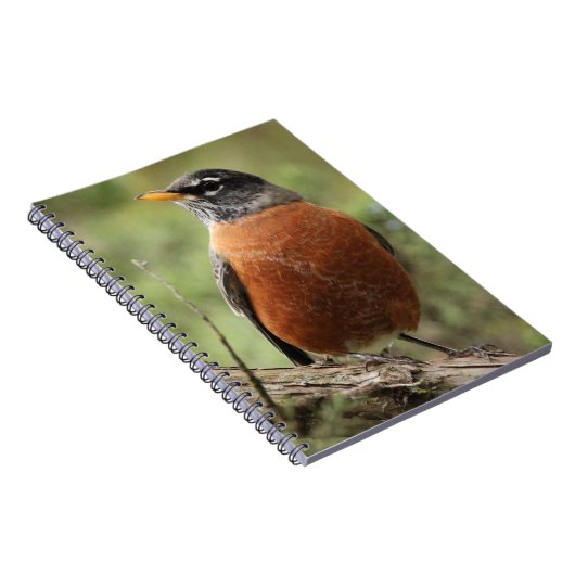 Rote Brust-gewundenes Notizbuch Robins Notizblock (Rechte Seite)