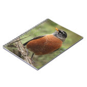 Rote Brust-gewundenes Notizbuch Robins Notizblock (Linke Seite)