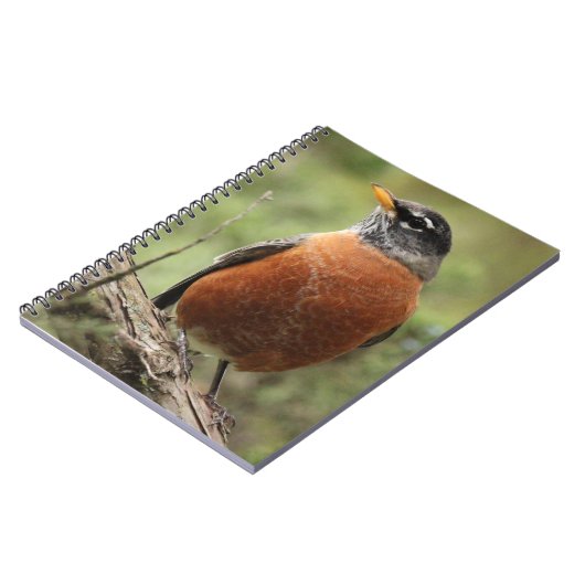 Rote Brust-gewundenes Notizbuch Robins Notizblock (Linke Seite)