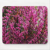 Rote Bud Blume....... Mousepad (Vorne)
