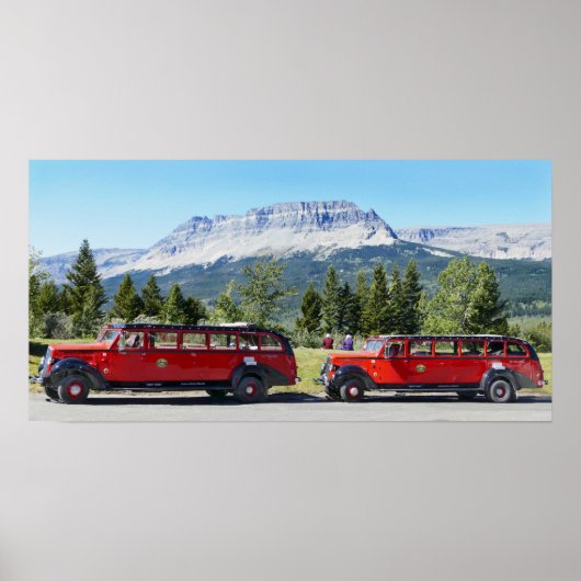 Rote Busse, Glacier National Park, Montana Poster (Vorne)