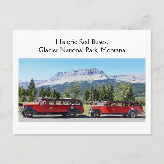 Rote Busse, Glacier National Park, Montana Postkarte (Vorderseite)