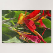 Rote Cannalilie, Oakland Puzzle (Horizontal)