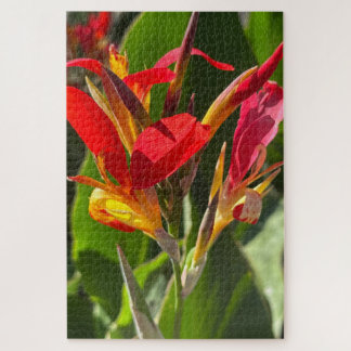 Rote Cannalilie, Oakland Puzzle