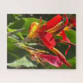 Rote Cannalilie, Oakland Puzzle (Horizontal)
