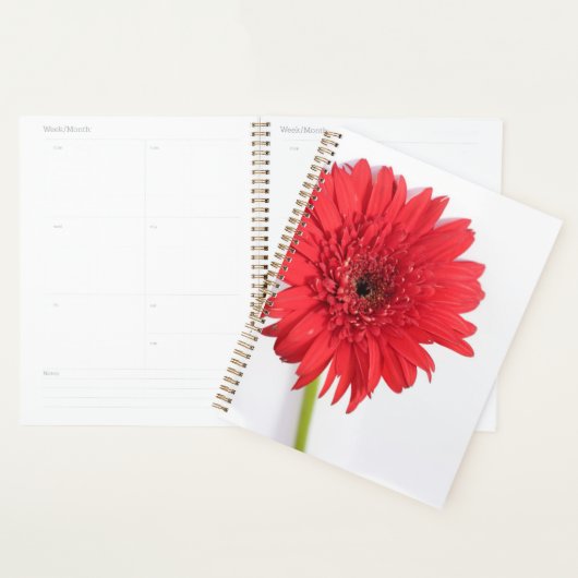 Rote Chrysanthemum Petals Blume Floral Planer (Anzeige)