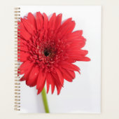Rote Chrysanthemum Petals Blume Floral Planer (Vorderseite)