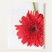 Rote Chrysanthemum Petals Blume Floral Planer (Rückseite)