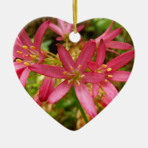 Rote Clintonia-Blumen bei Redwoods Keramik Ornament