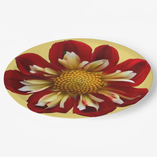 Rote Collarette Dahlia auf der Gelben Flora Pappteller (Schrägansicht)