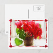 Rote Cyclamen-Blume Postkarte (Vorne/Hinten)