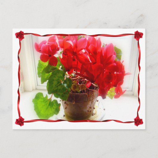 Rote Cyclamen-Blume Postkarte (Vorderseite)