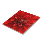 Rote Dahlia-Blume Fliese (Seite)