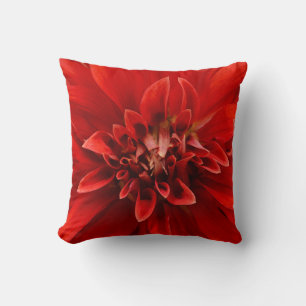 Rote Dahlia-Blume Kissen