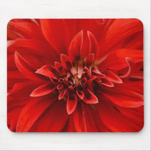 Rote Dahlia-Blume Mousepad