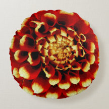 Rote Dahlie mit blauer Dame