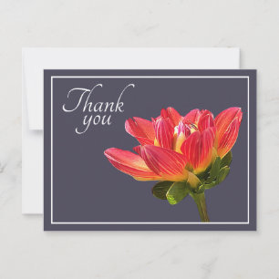 Rote Dahlienblume Grauer Hintergrund Dankeschön Postkarte