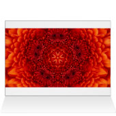 ROTE DAHLIENBLÜTENBLÄTTER (Innenansicht Horizontal (Oben))