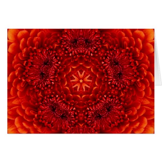 ROTE DAHLIENBLÜTENBLÄTTER (Vorderseite (Horizontal))