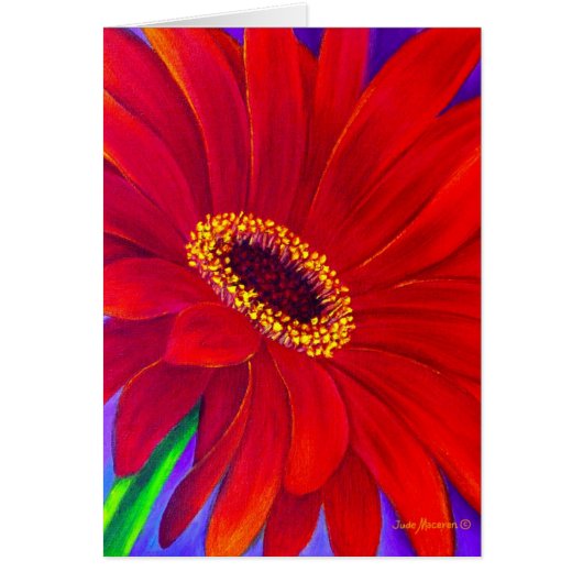 Rote Daisy Gerber Blume Malerei Art - Multi (Vorne)