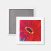 Rote Daisy Gerber Blume Malerei Art - Multi Magnet (Vorderseite/Rückseite)