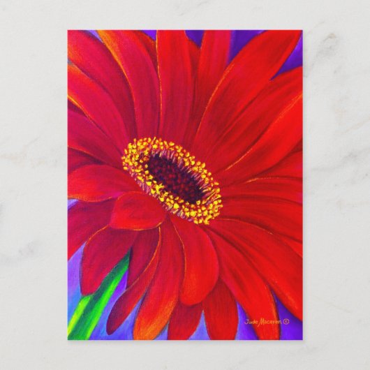 Rote Daisy Gerber Blume Malerei Art - Multi Postkarte (Vorderseite)