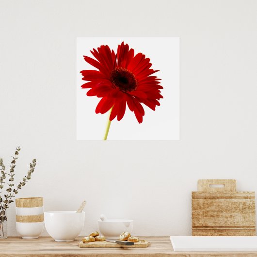 Rote Dame Poster (Küche)