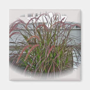 Rote dekorative Graskoordinierungselemente Magnet