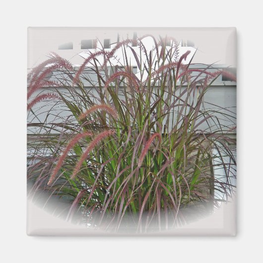 Rote dekorative Graskoordinierungselemente Magnet (Vorne)