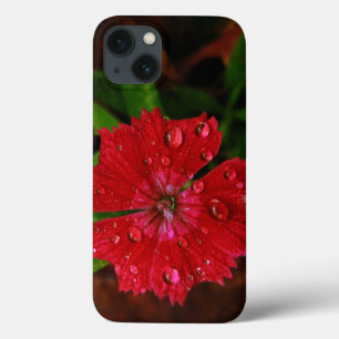 Rote Dianthus mit Regentropfen Case-Mate iPhone Hülle