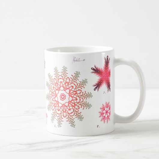 Rote Diatomee-Kaffee-Tasse Kaffeetasse (Rechts)