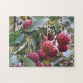 Rote Dogwood Fruit Nature Puzzle (Horizontal)