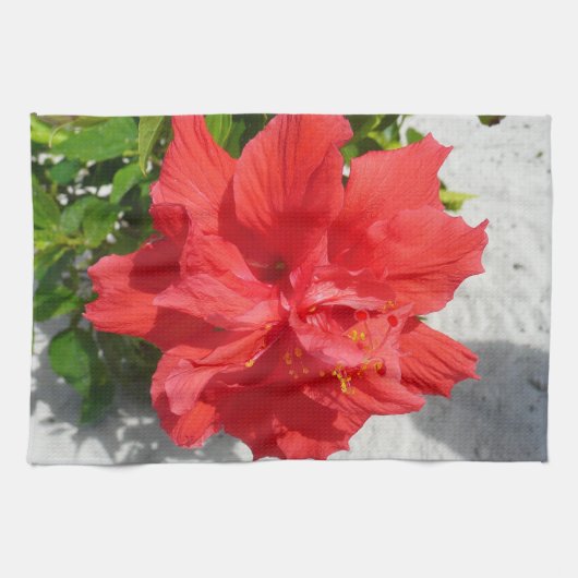Rote doppelte Hibiskusblüte Handtuch (Horizontal)