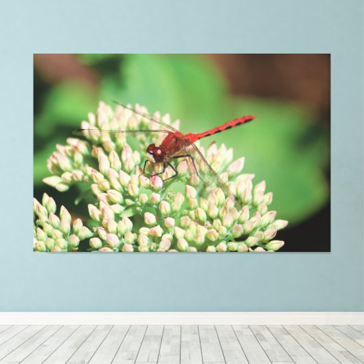Rote Dragonfly Leinwanddruck (Insitu (Holzboden))