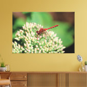 Rote Dragonfly Leinwanddruck (Insitu (Wohnzimmer))