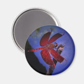Rote Dragonfly Magnet (Vorderseite/Rückseite)