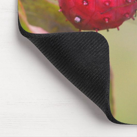 Rote Dragonfly-Natur Mousepad (Ecke)